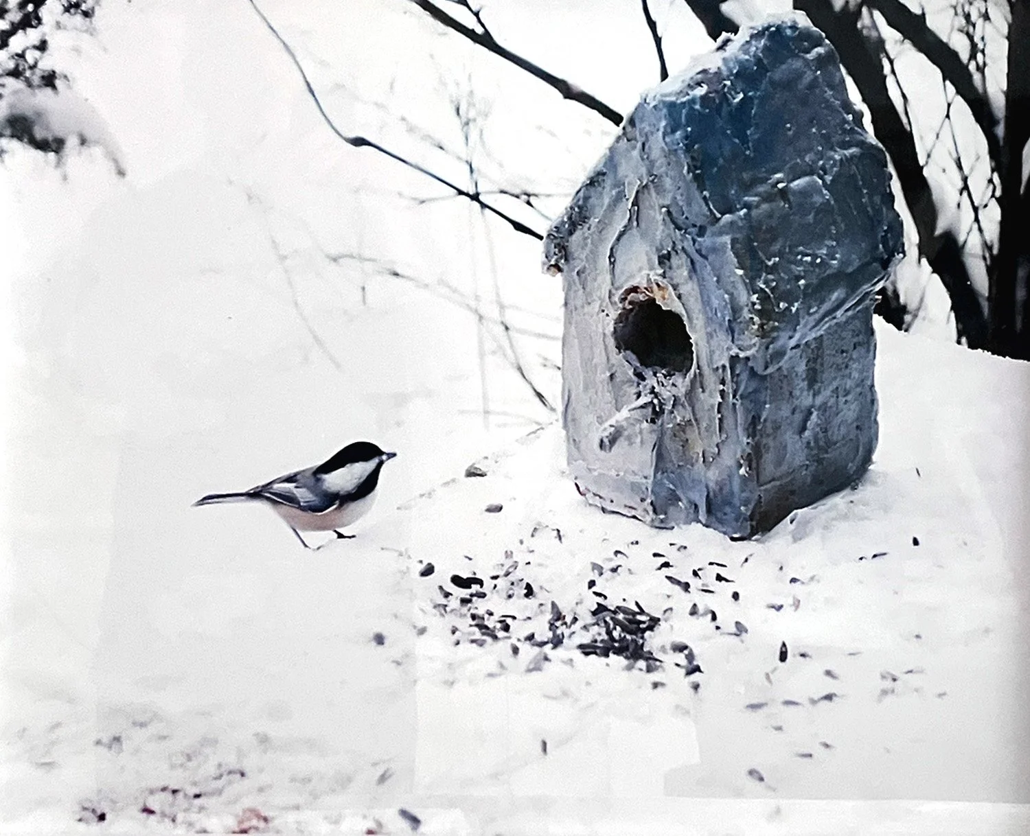BIRD HOUSE CAKE - MAIWALD