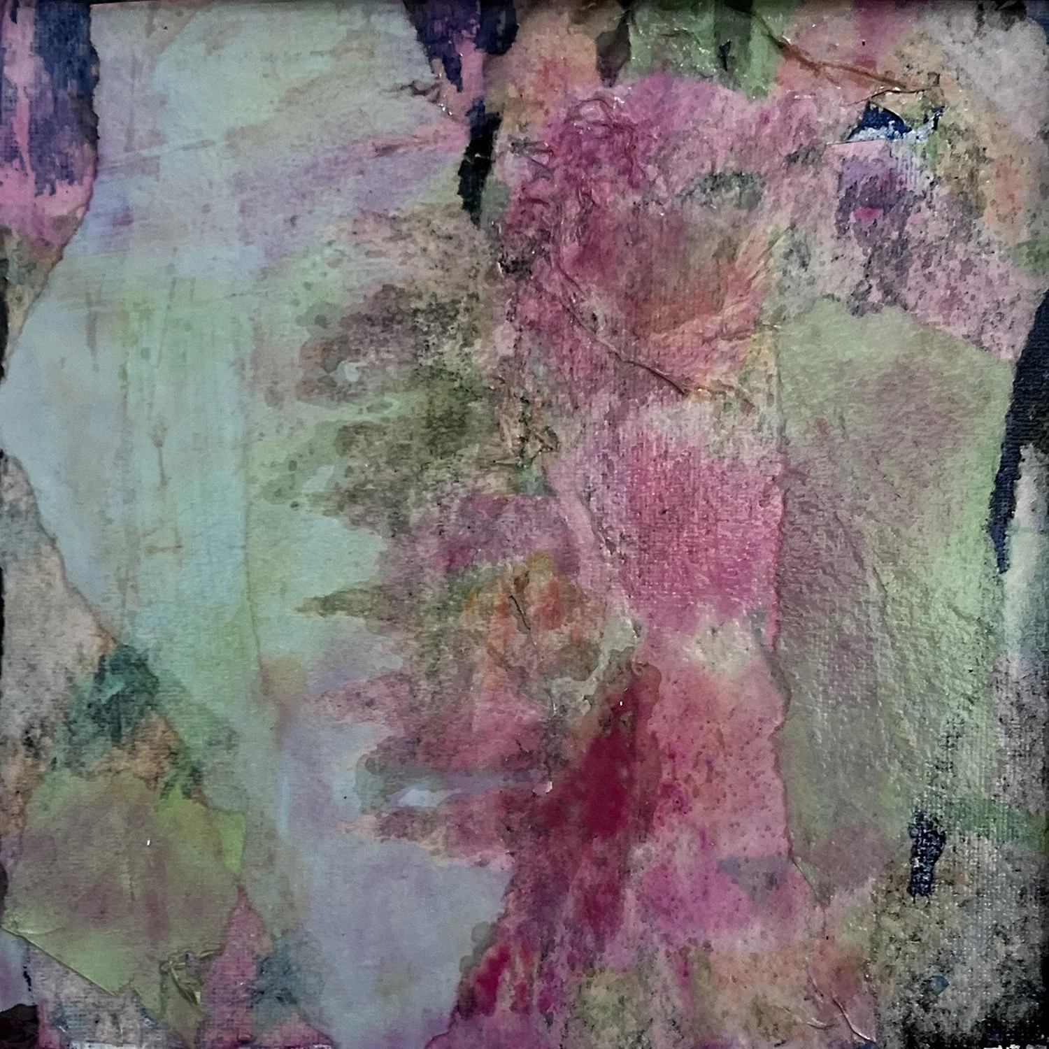 SHADOW GARDEN - HAUBRICH