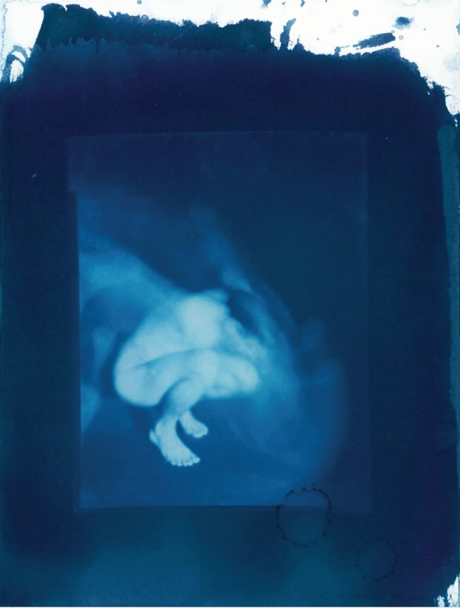 CYANOTYPE - SIMONE