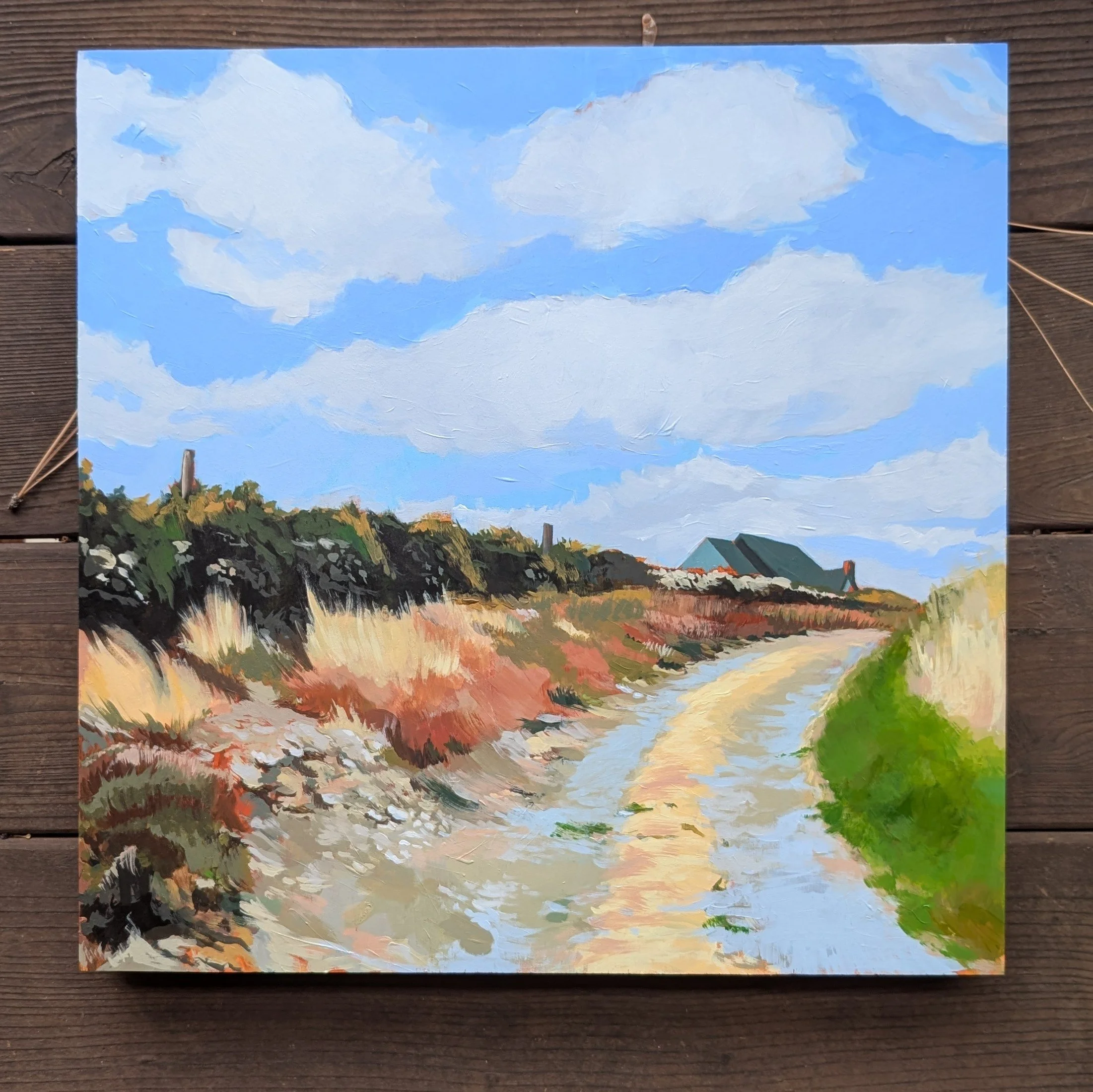 Irish Country Road 16x16.jpg