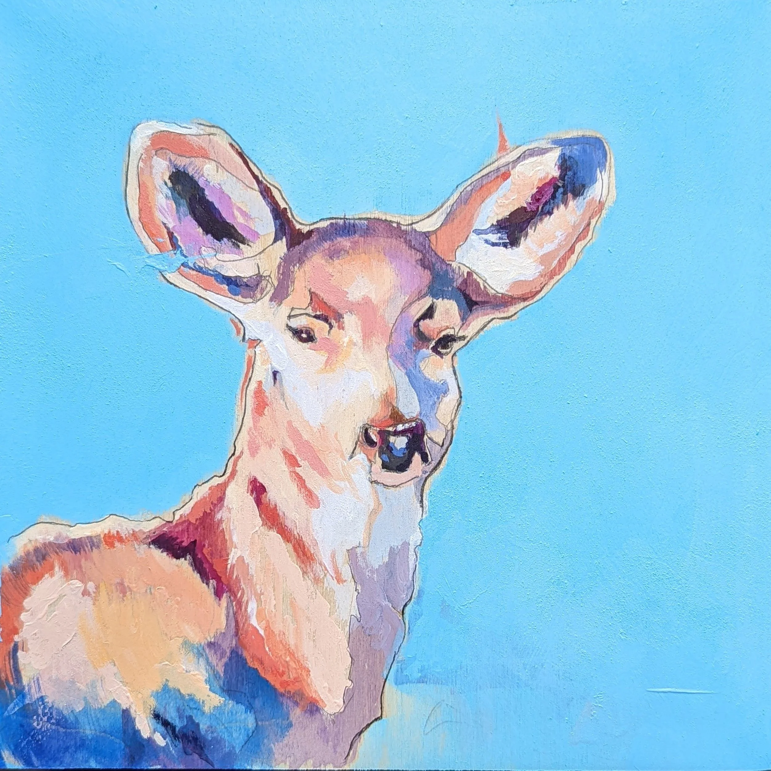 Curious Doe