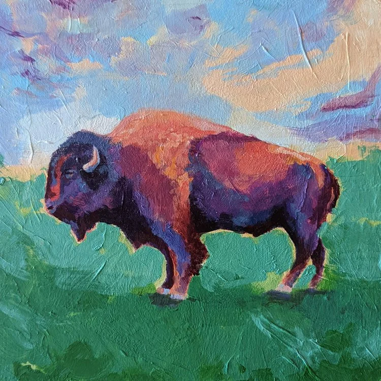 Bison