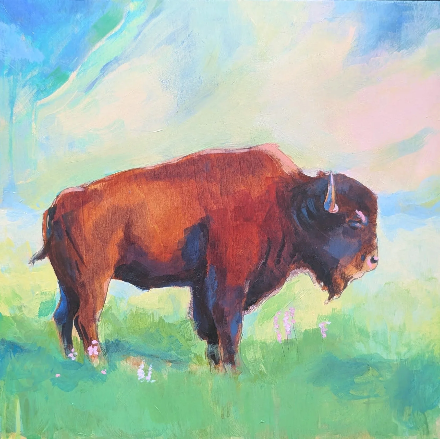 Bison