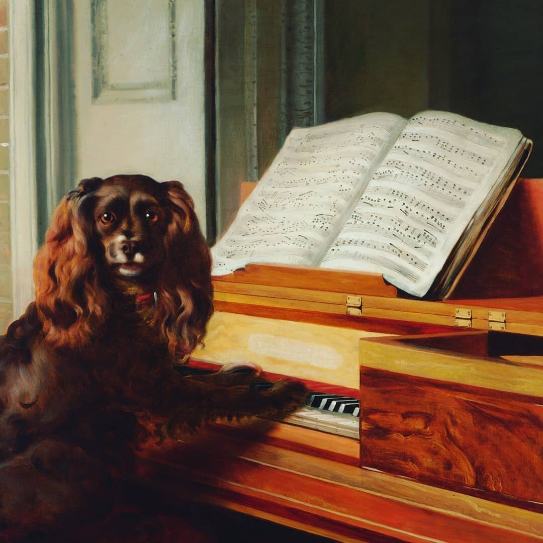 Portrait  of an Extrairdinary Musical Dog  by Philipe Reinagle  1805