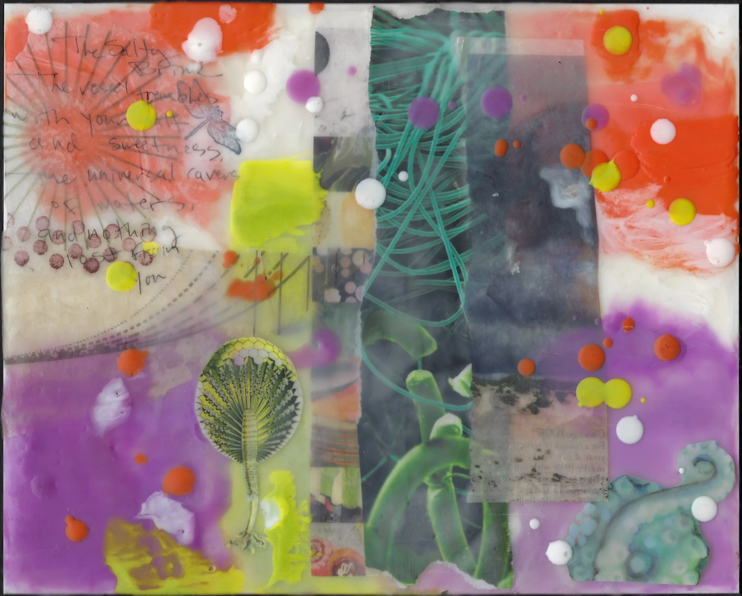 Wax, Seaweed, Sketch, etc.