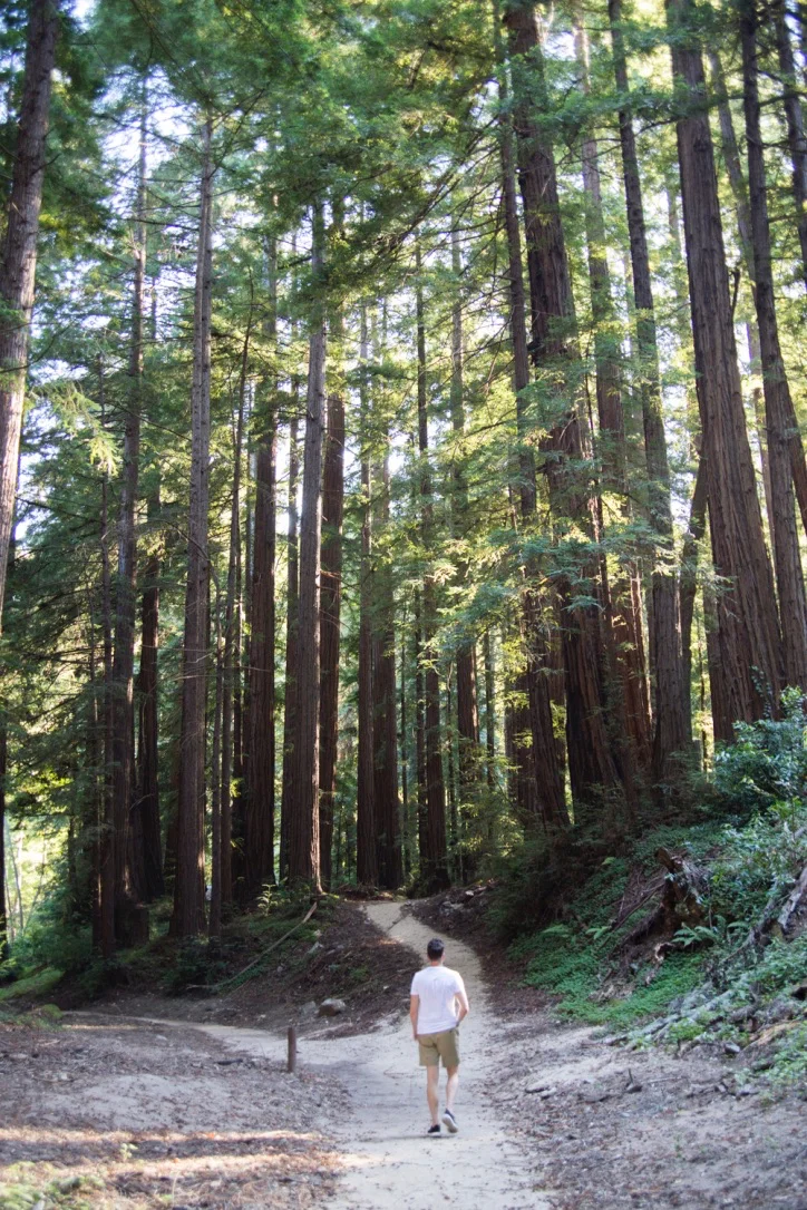 BigSur - 4.jpg