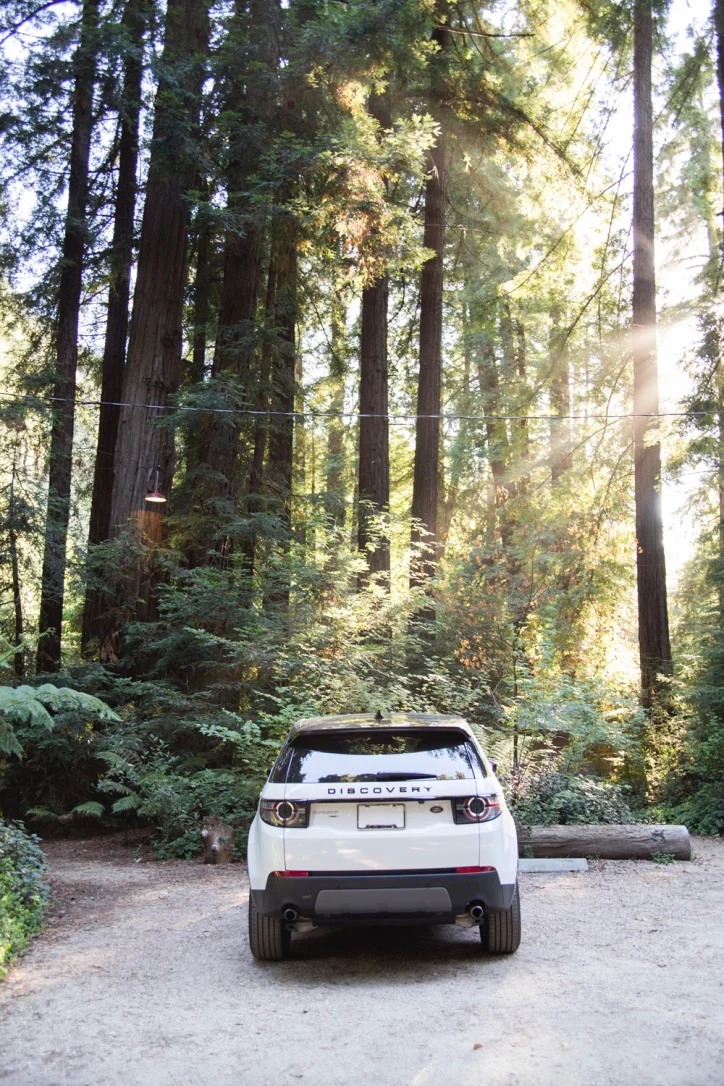 BigSur - 5.jpg