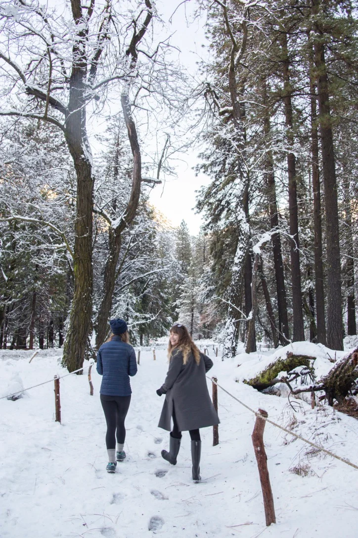 YosemiteWinter - 2.jpg