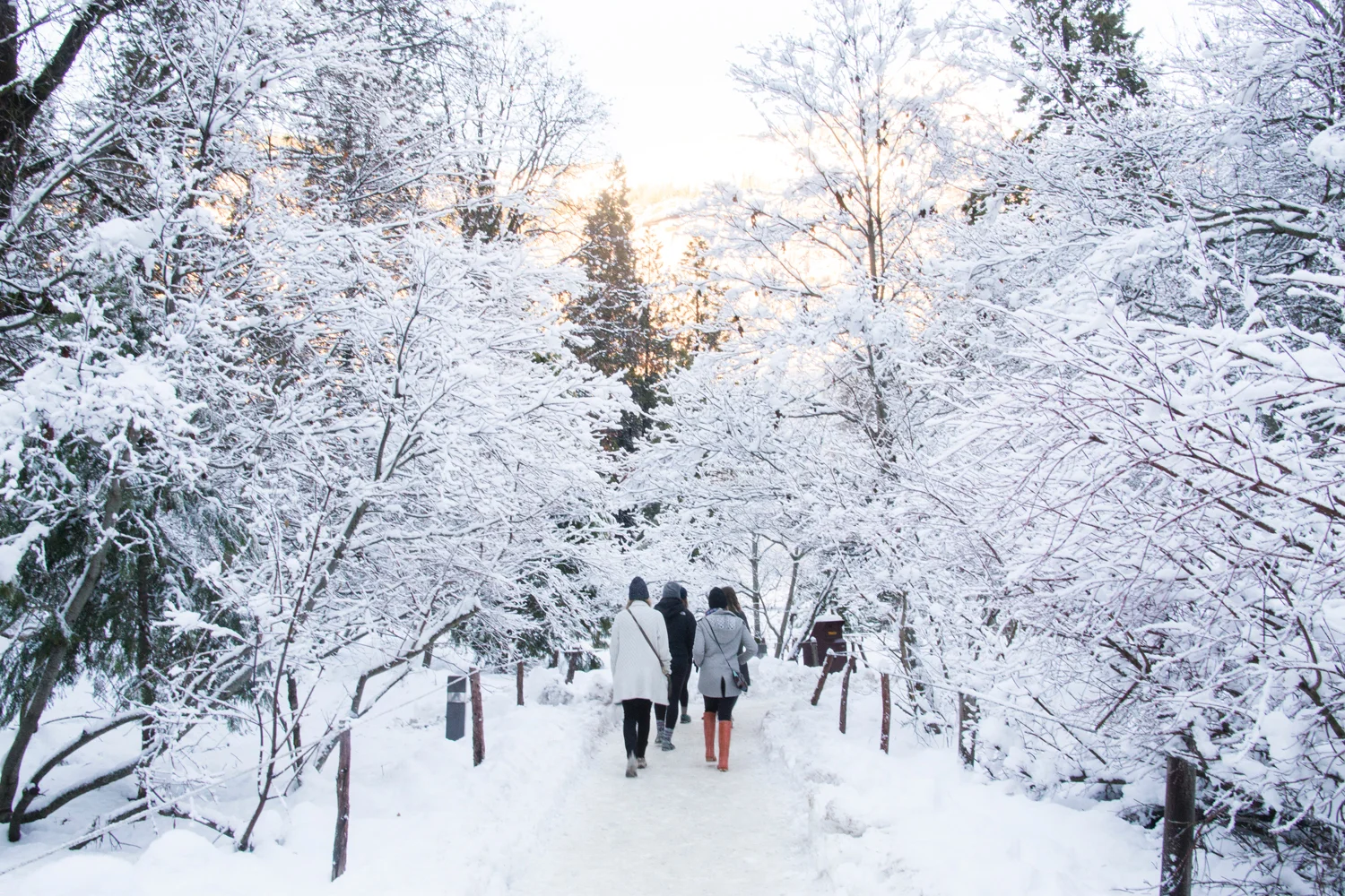 YosemiteWinter - 3.jpg