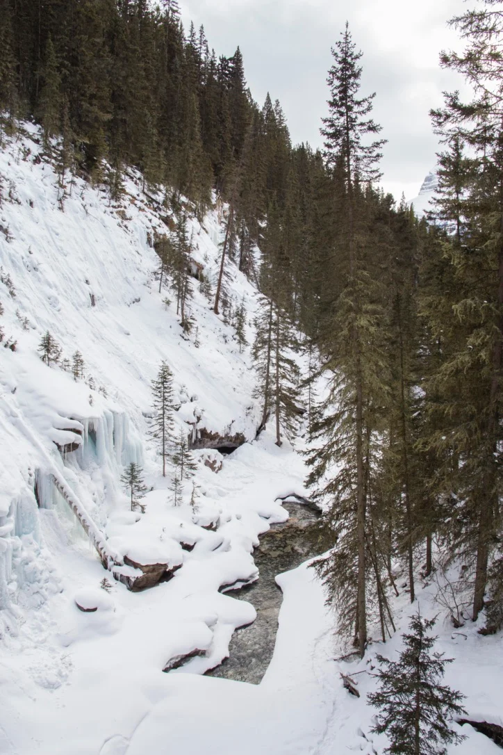 Banff+-+16.jpg