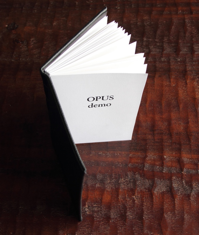 Kickstarter project. Leather journal. Mixed media paper, letter-pressed text. 2013. 