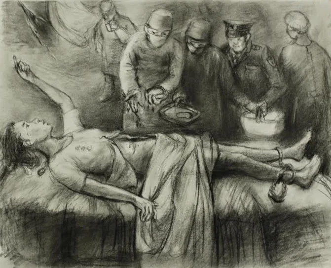 Organ+Harvesting (1).jpg