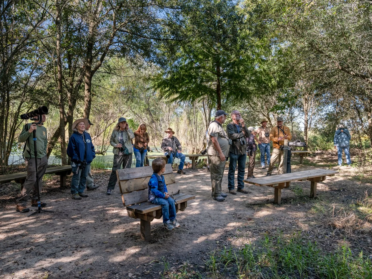 Rare Bird Sighting, Sabine Woods