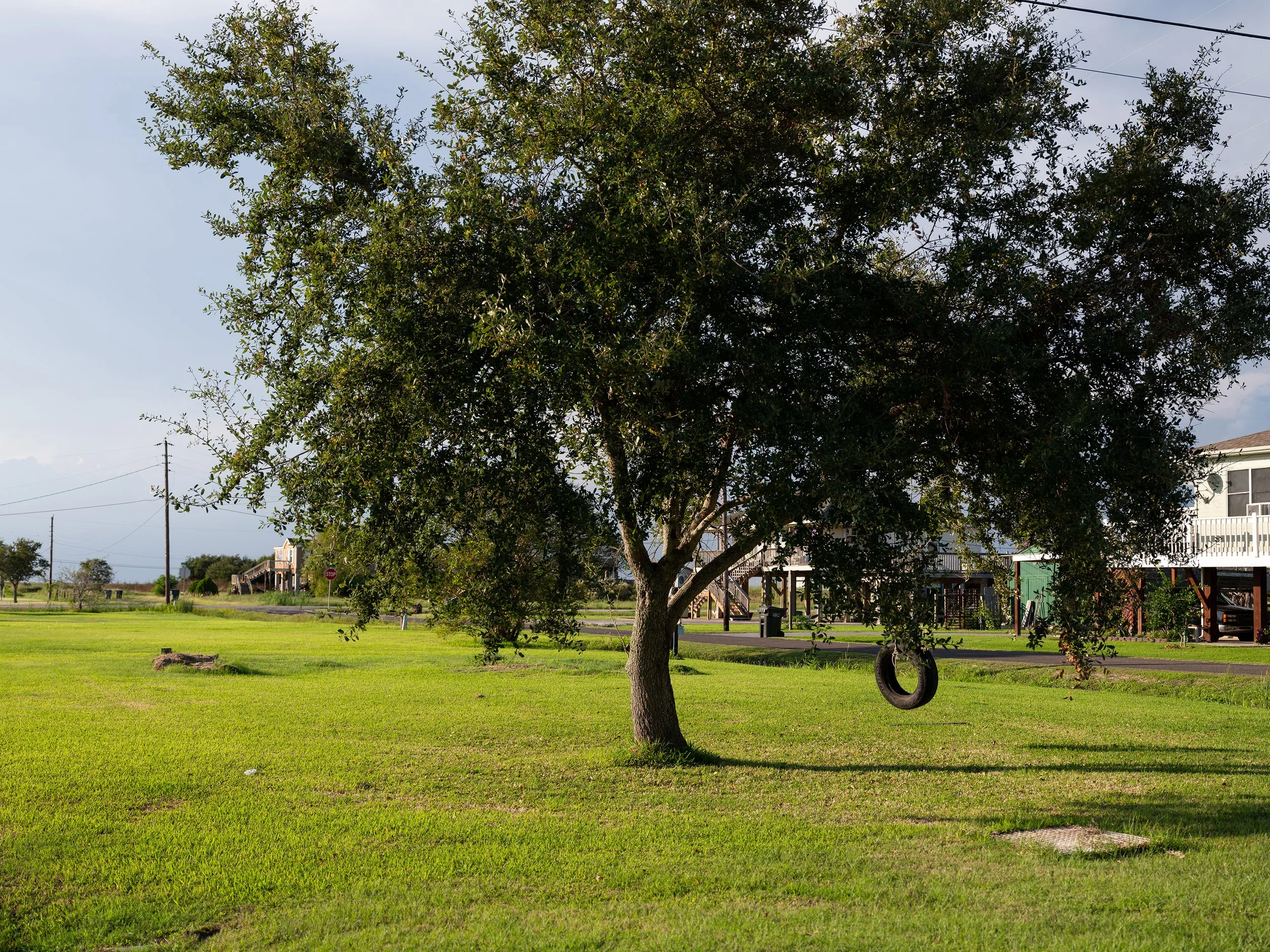 Tree Swing, Sabine Pass