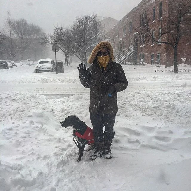 Yesterday's big outing