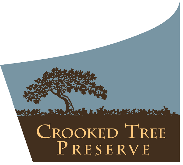 CrookedTree logo 2.png