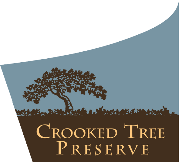 CrookedTree logo 2.png