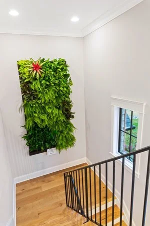 indoor-living-wall.jpeg