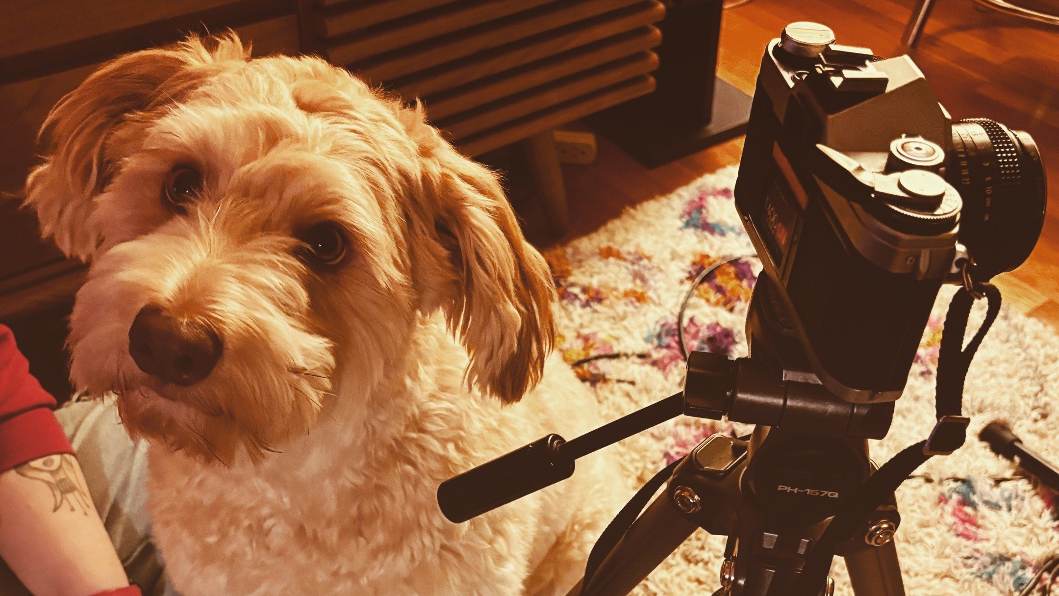 As 2025 draws to a close, Casati will be taking a brief break. 

Quintin just departed for a few months adventuring through Japan (!!!) and so we'll be laying low into the New Year! Before he left we were able to record some of our new complete music