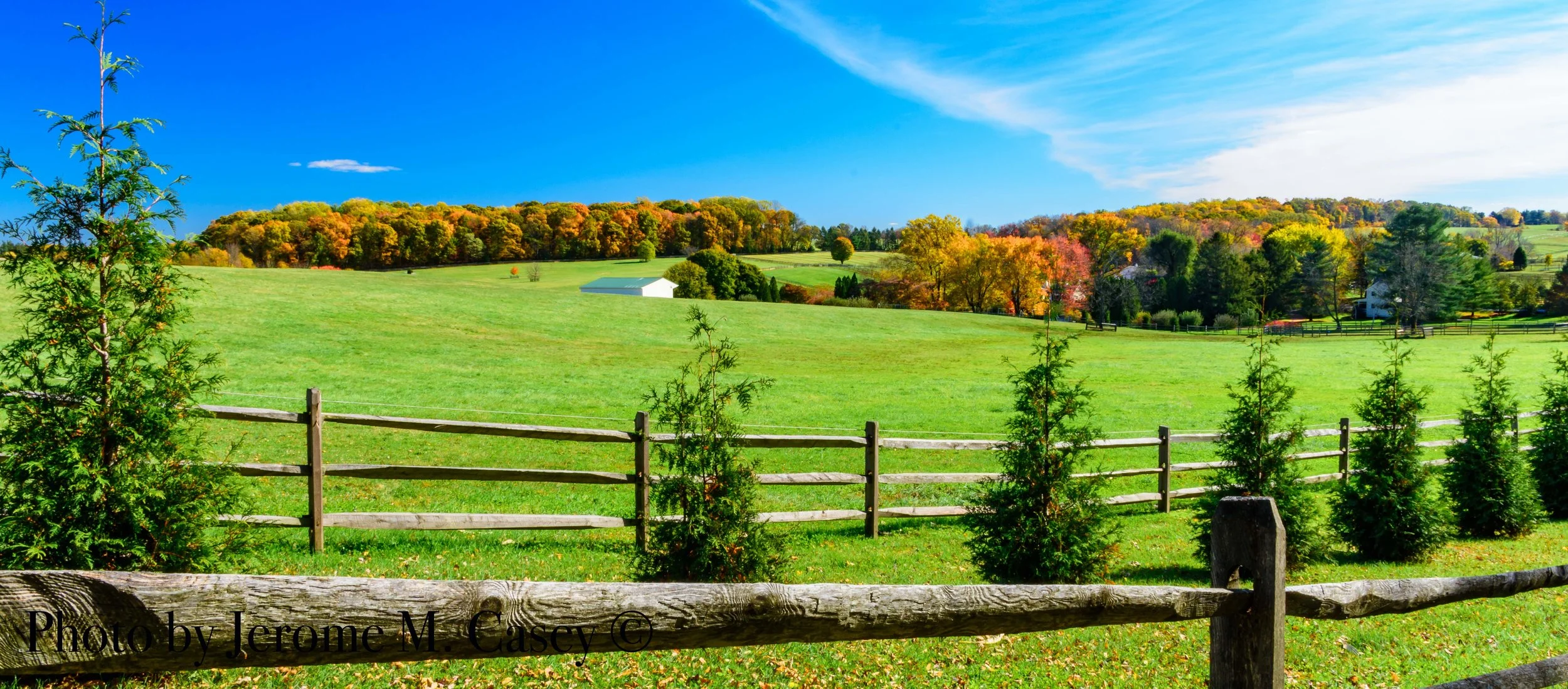 Landscape-7.jpg