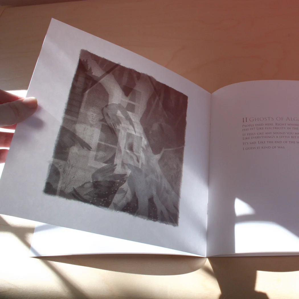 Ghosts of Algarney County booklets for Mocca Arts Fest!