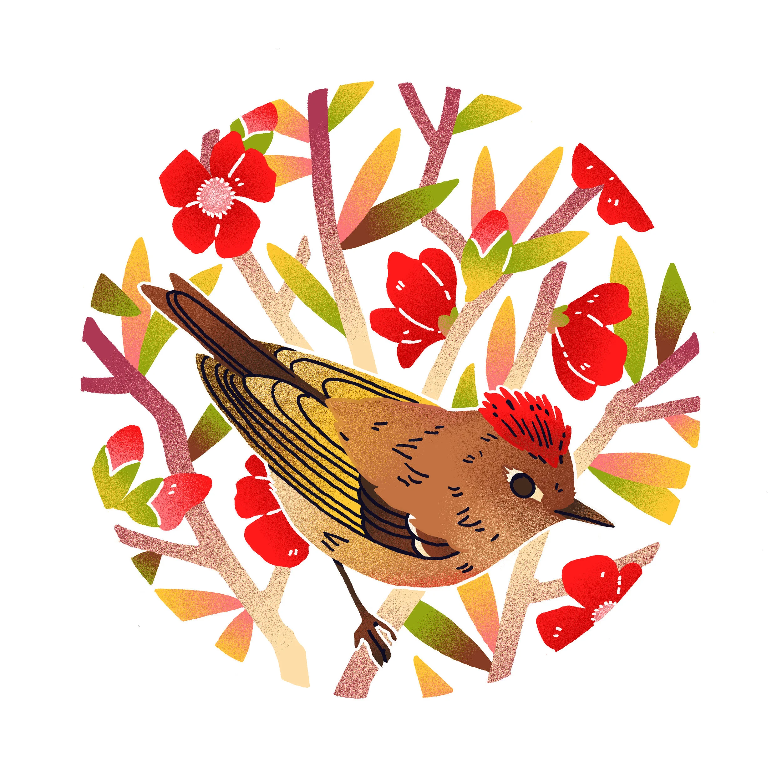 More birds!