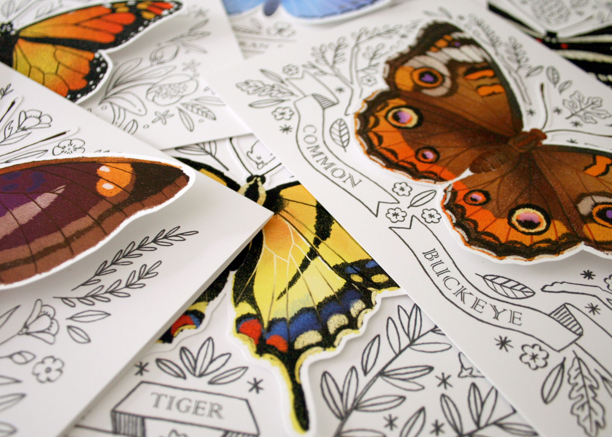 3D Butterfly Cards