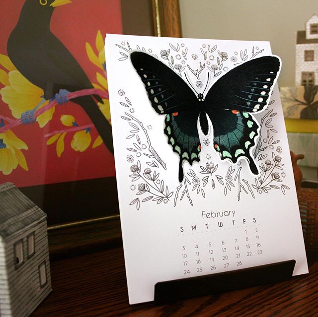 Finally got my calendars photographed and listed! New butterfly calendars in 2D and 3D form. 🦋
.
.
#2019calendar #desktopcalendar #calendar #deskcalendar #Etsy #onetsy #etsyseller #papergoods #illustratedcalendar #paperaddict #swallowtailbutterfly #