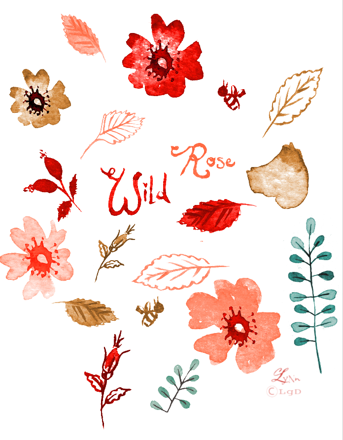 LGaines_wildrose print.png