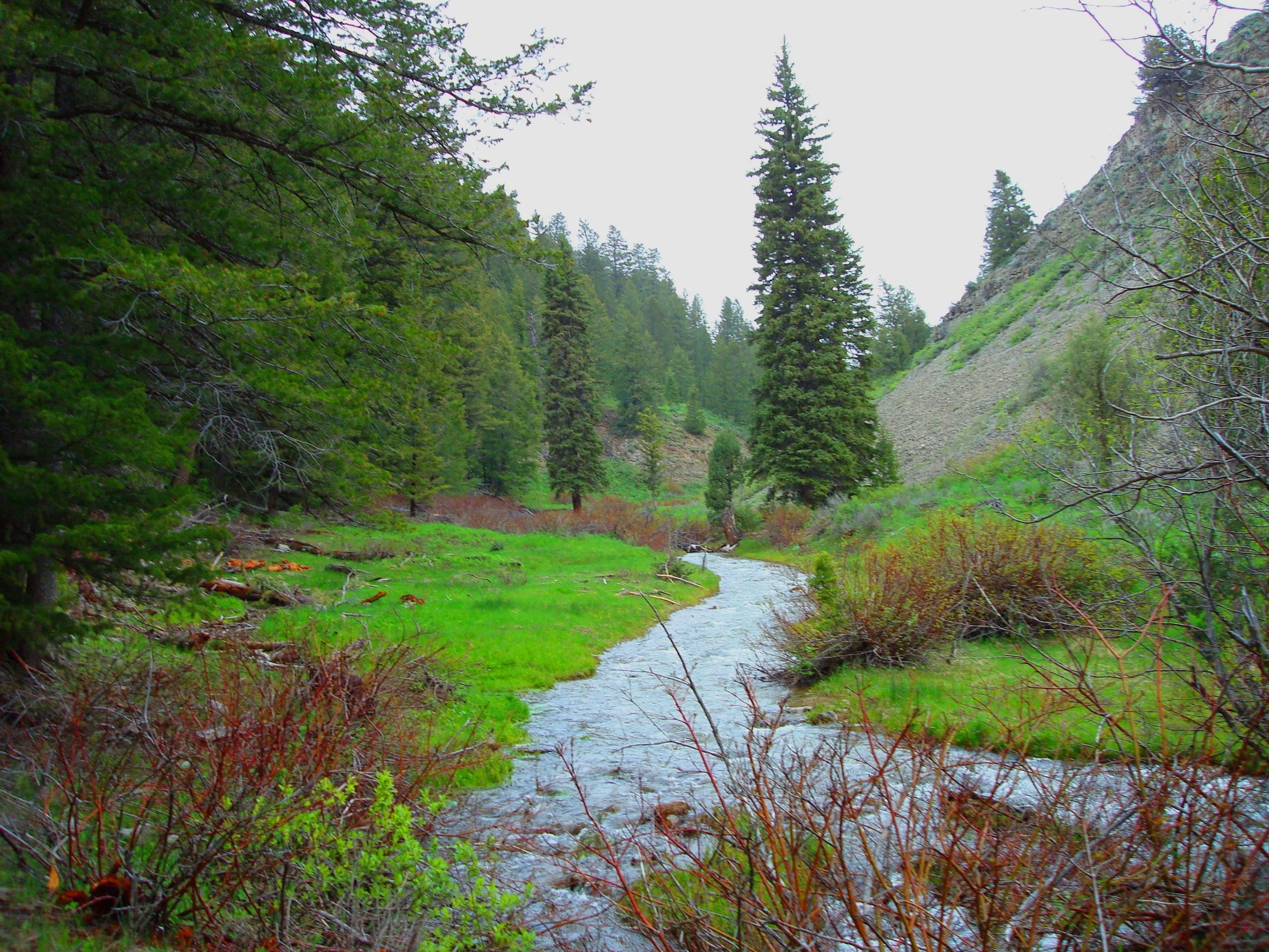lost creek wilderness utah.jpg