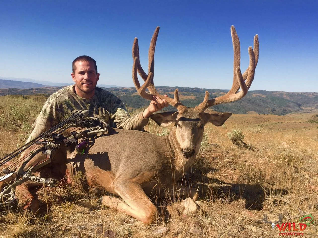 archery-hunts-wild-country-outfitters