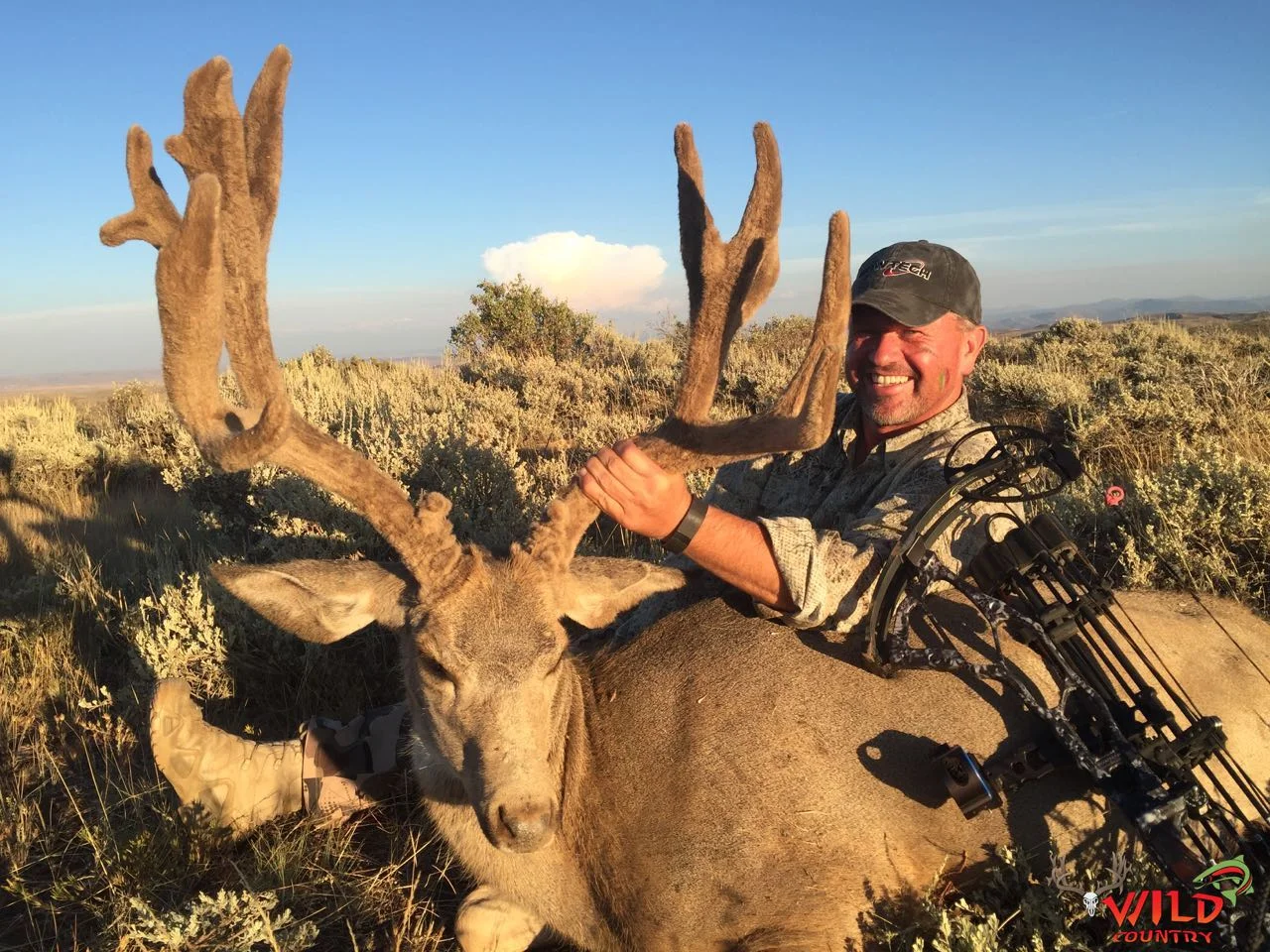 Archery Hunts — Wild Country Outfitters