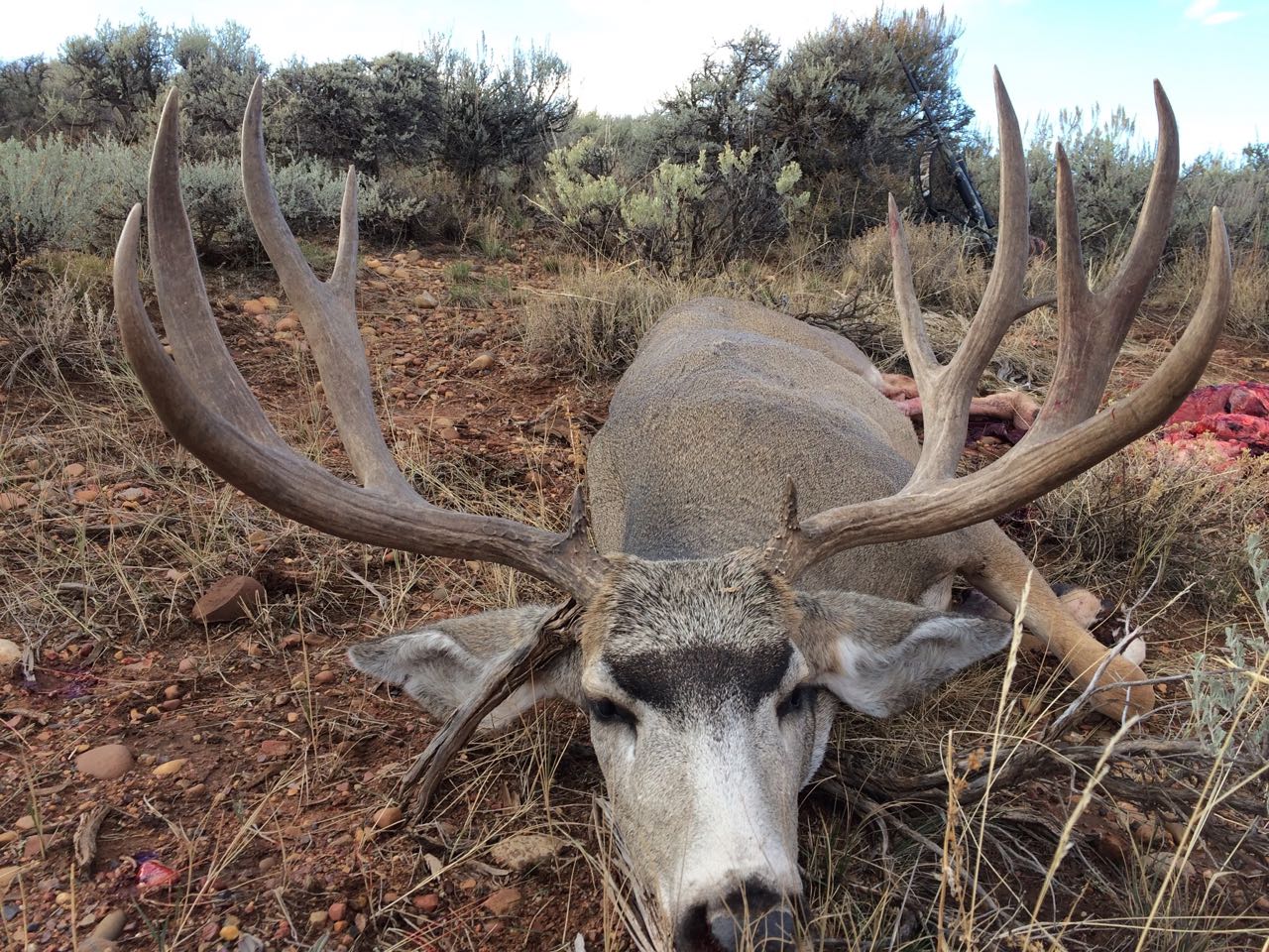 Deseret utah deer hunt 2016 - 3.jpg