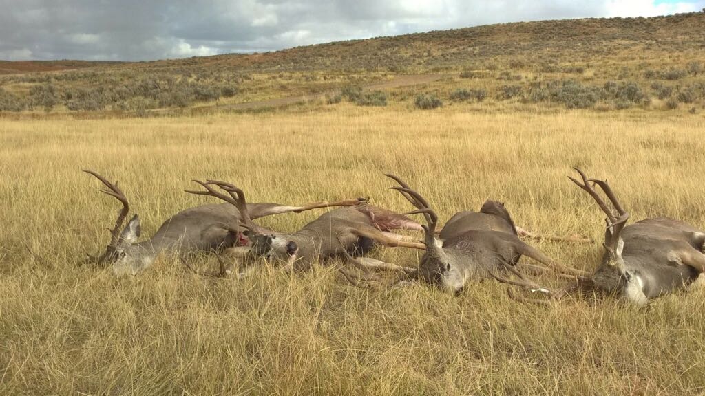 Deseret utah deer hunt 2016 - 8.jpg