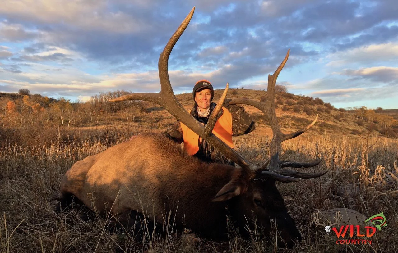2016-state-bull-elk-deseret- 2.jpg