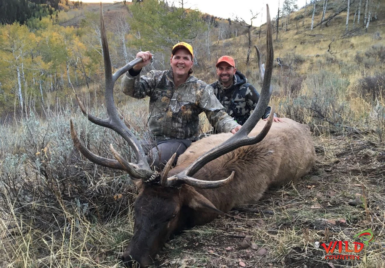 2016-state-bull-elk-deseret- 5.jpg