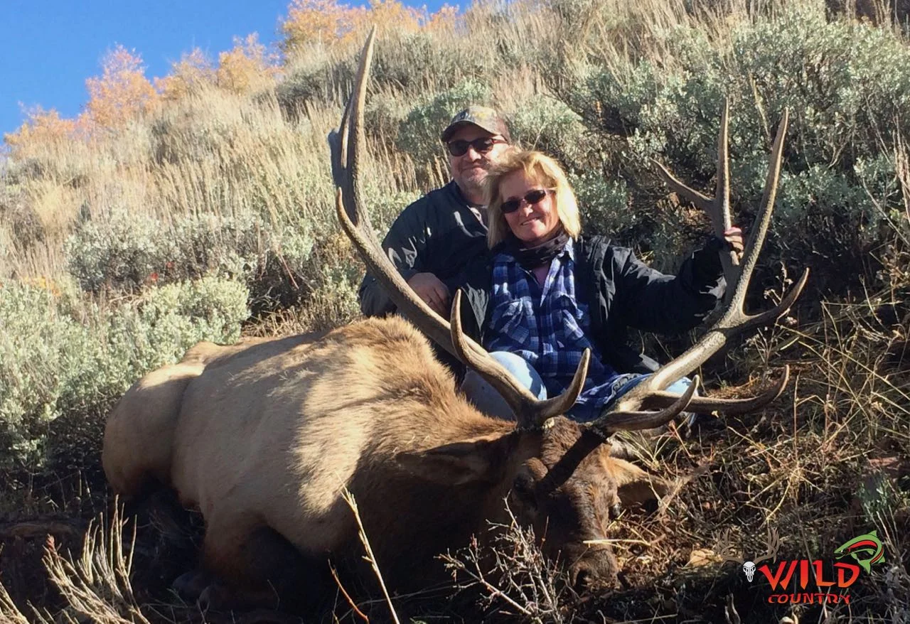 2016-state-bull-elk-deseret- 12.jpg