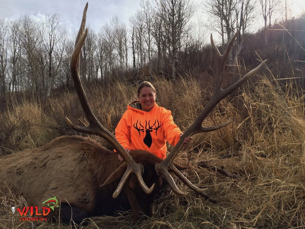 2016-state-bull-elk-deseret- 15.jpg