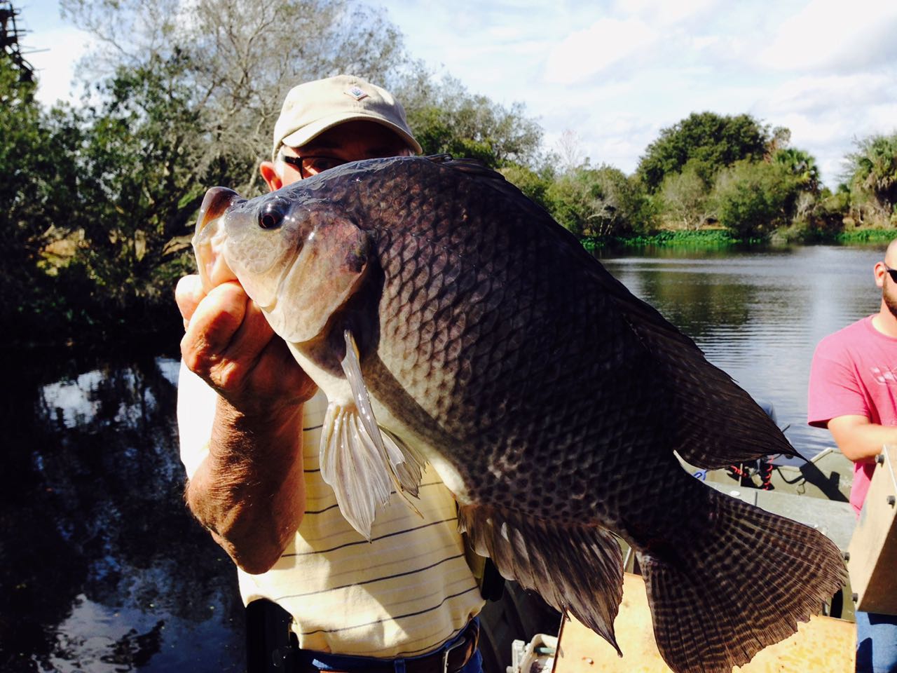 deseret-cattle-citrus-florida-ranch-talapia.jpg