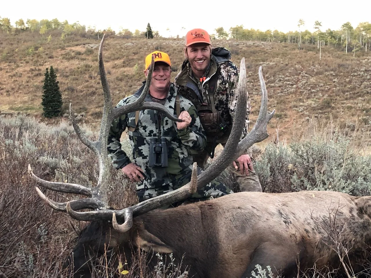 Tyson Land utah bull elk 350 bull deseret ranch .jpg