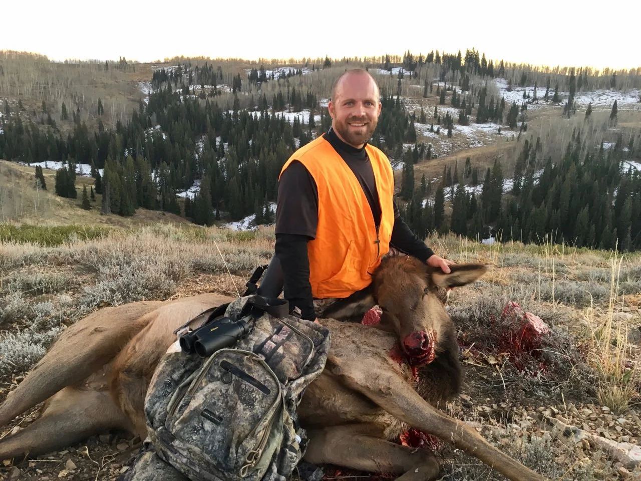 Brodie Martin Deseret Cow Elk - 1.jpg