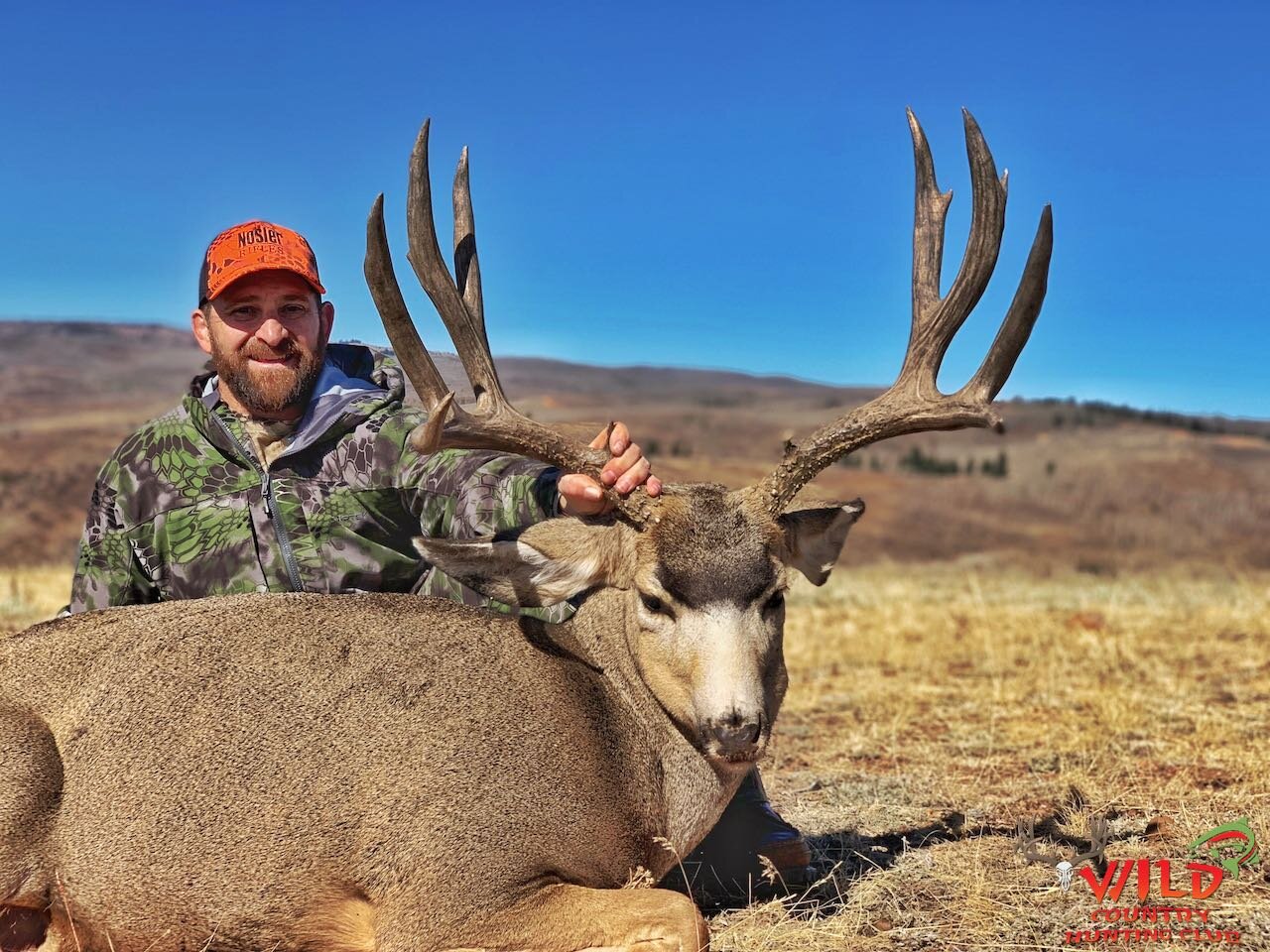 Deer — Wild Country Outfitters