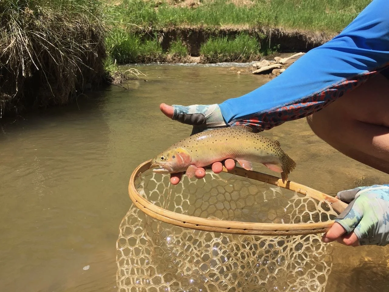 Handling Fish Flight Fish Handling — Wild Country Outfitters