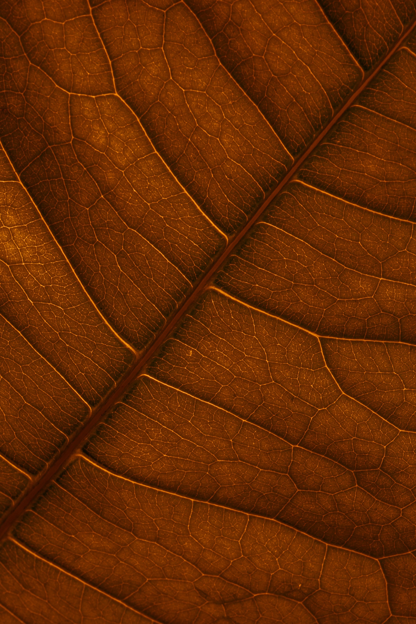 Autumn: The Best Season of All