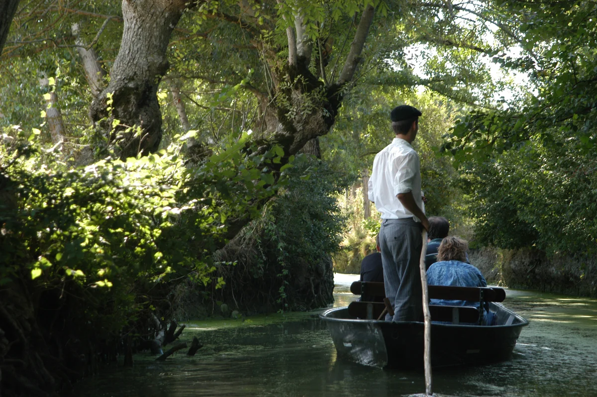 Promenade-en-barque-dans-le-Marais-Poitevin-(a1).jpg