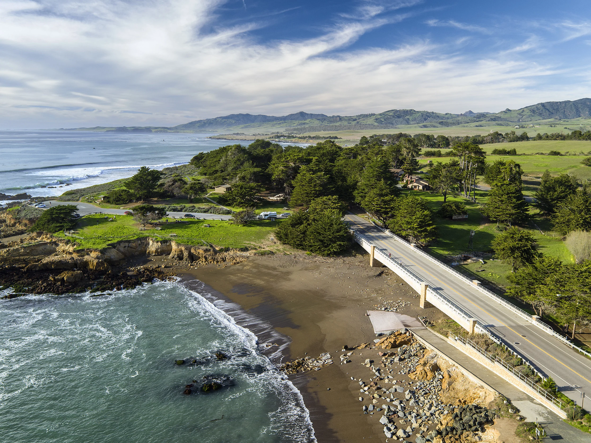 SanSimeonPines_01 (1).jpg