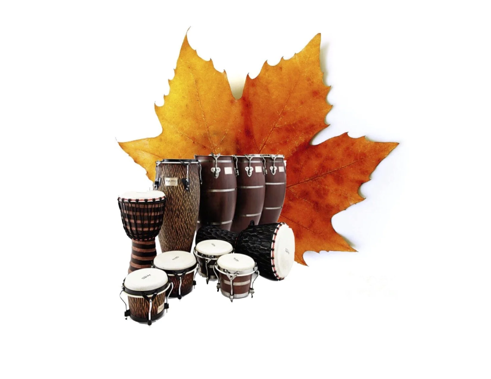 Drum for Peace and Power: Online Fall Equinox Celebration!