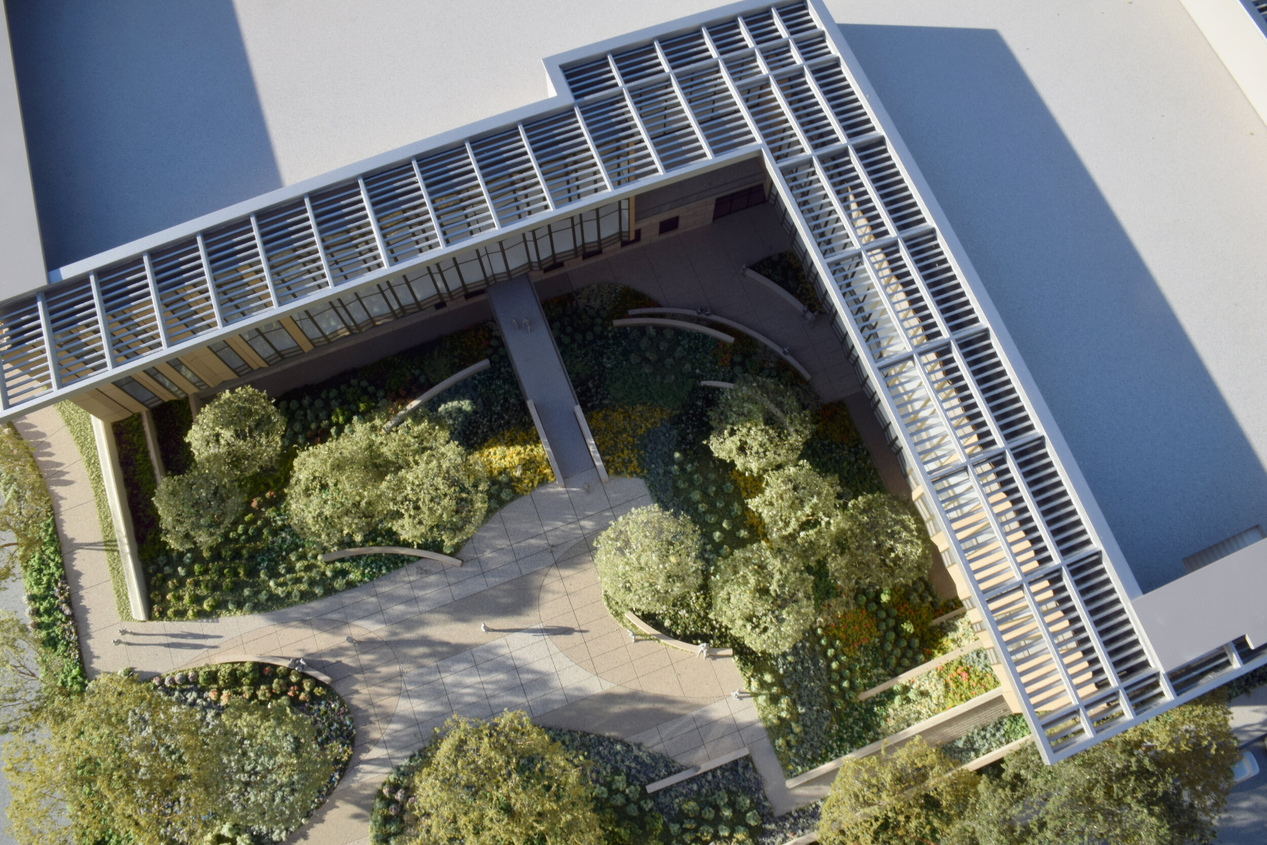 caltech 6.jpg