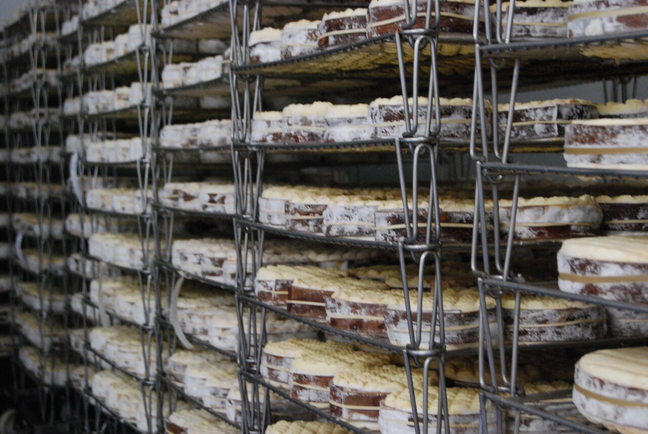 Young Rollrights in the ripening room.