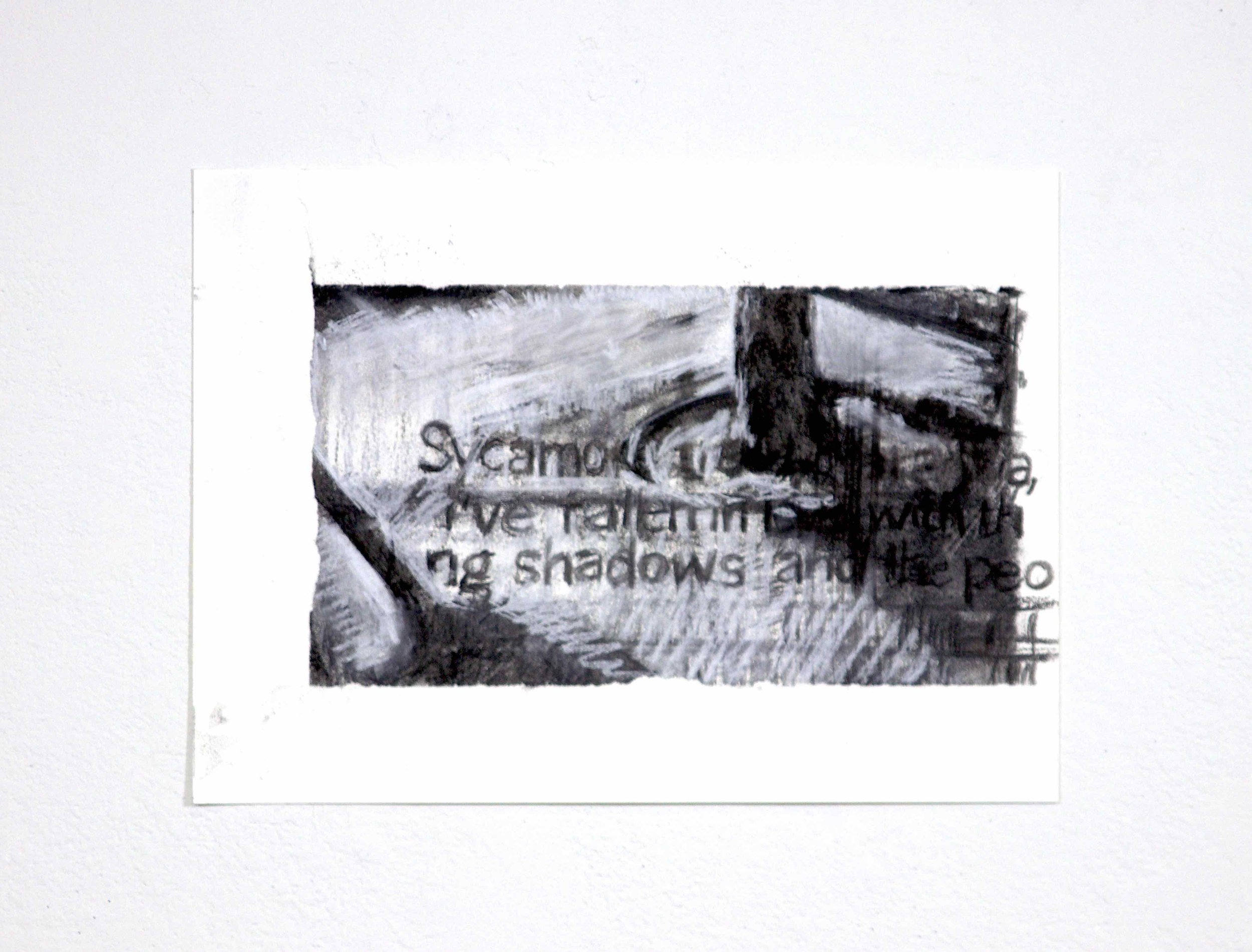Sycamore Shadows.jpg